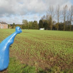 ellezelles-belgique-sentier-etrange-champ