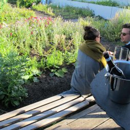 Rotterdam restaurant Op Het Dak jardin toit