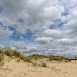 Dunes réserve naturelle du Westhoek La Panne Belgique