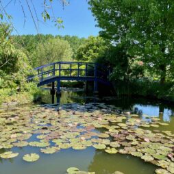 Oise-jardin-peintre-Andre-van-Beek-Saint-Paul-sept