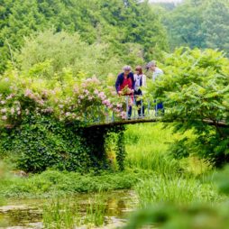 Jardins de Viels-Maisons pont sur eau