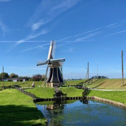 Pays-Bas Enkhuizen Zuiderzeemuseum moulin