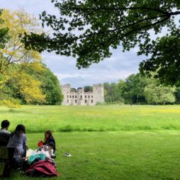 Jardin-botanique-Meise-chateau-Bouchout-de-loin