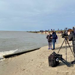 Observation-a-la-lunette-Phoques-baie-d-Authie-