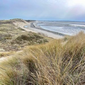 Sentier-dunaire-de-la-baie-d-Authie-dune-avec-oyats