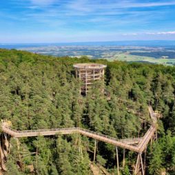 Credit-EAK-FRANCE-SARL-Chemin-des-Cimes-Alsace-vue-ensemble