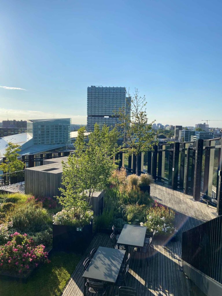 Mesa-a-Lille-vue-au-dessus-terrasse