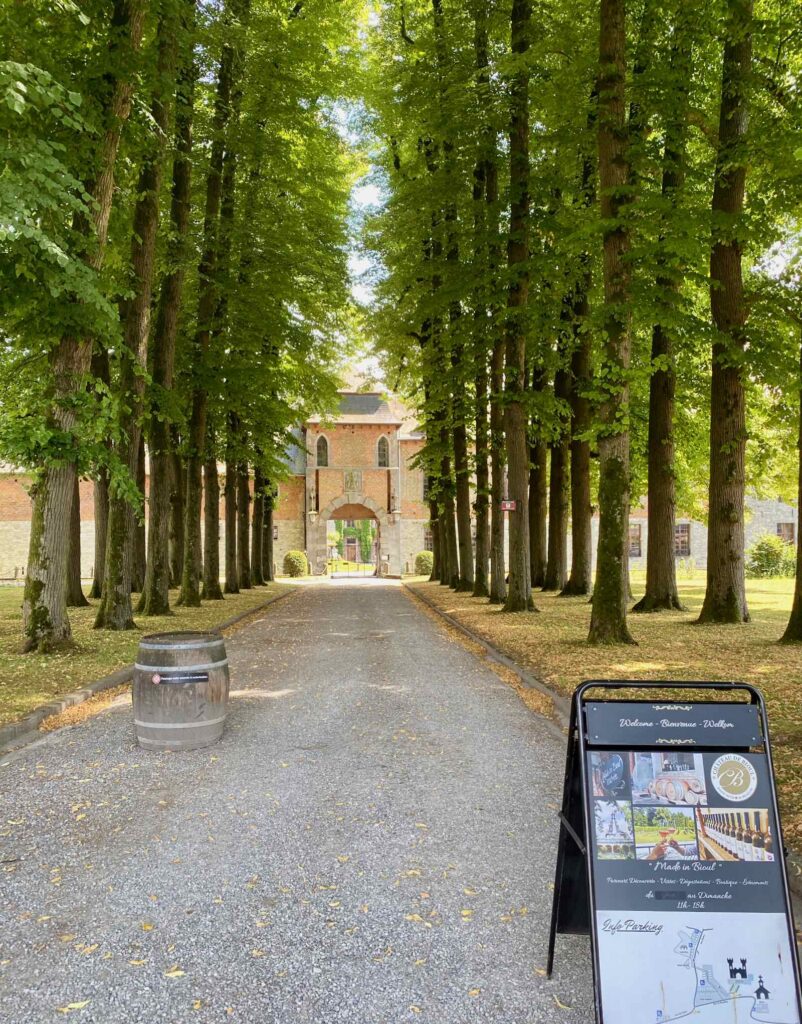 Wepion-chateau-de-Bioul-allee