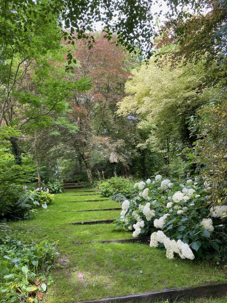 Jardin-en-Wallonie-Le-Sous-Bois-allee