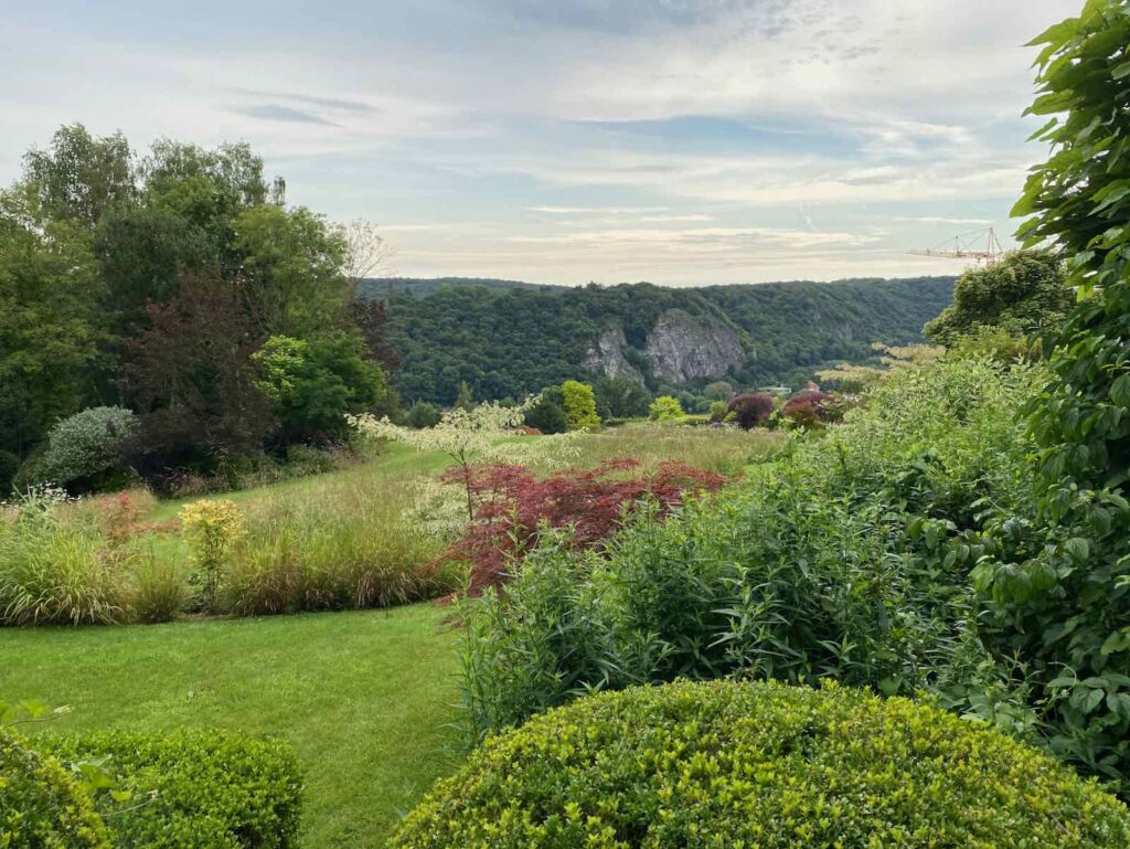 Jardin-en-Wallonie-Le-Sous-Bois-courbes