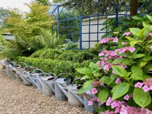 Jardin-en-Wallonie-Le-Sous-Bois-nombreux-arrosoirs