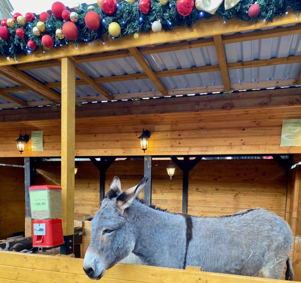 Pilsen-Tchequie-marche-Noel-ane-jour